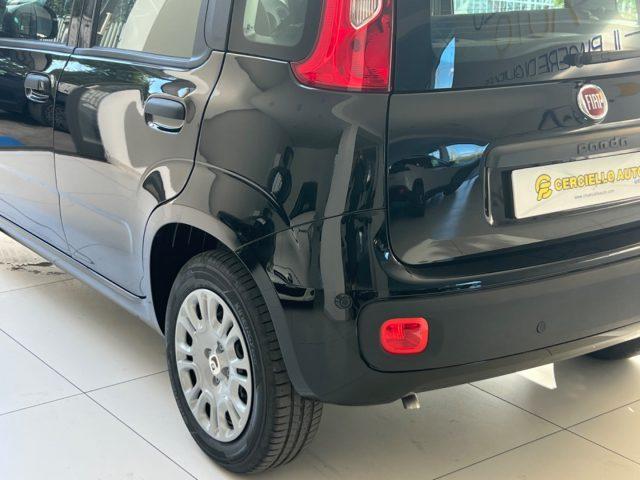 FIAT Panda 1.0 FireFly S&S Hybrid Pandina da ?149,00