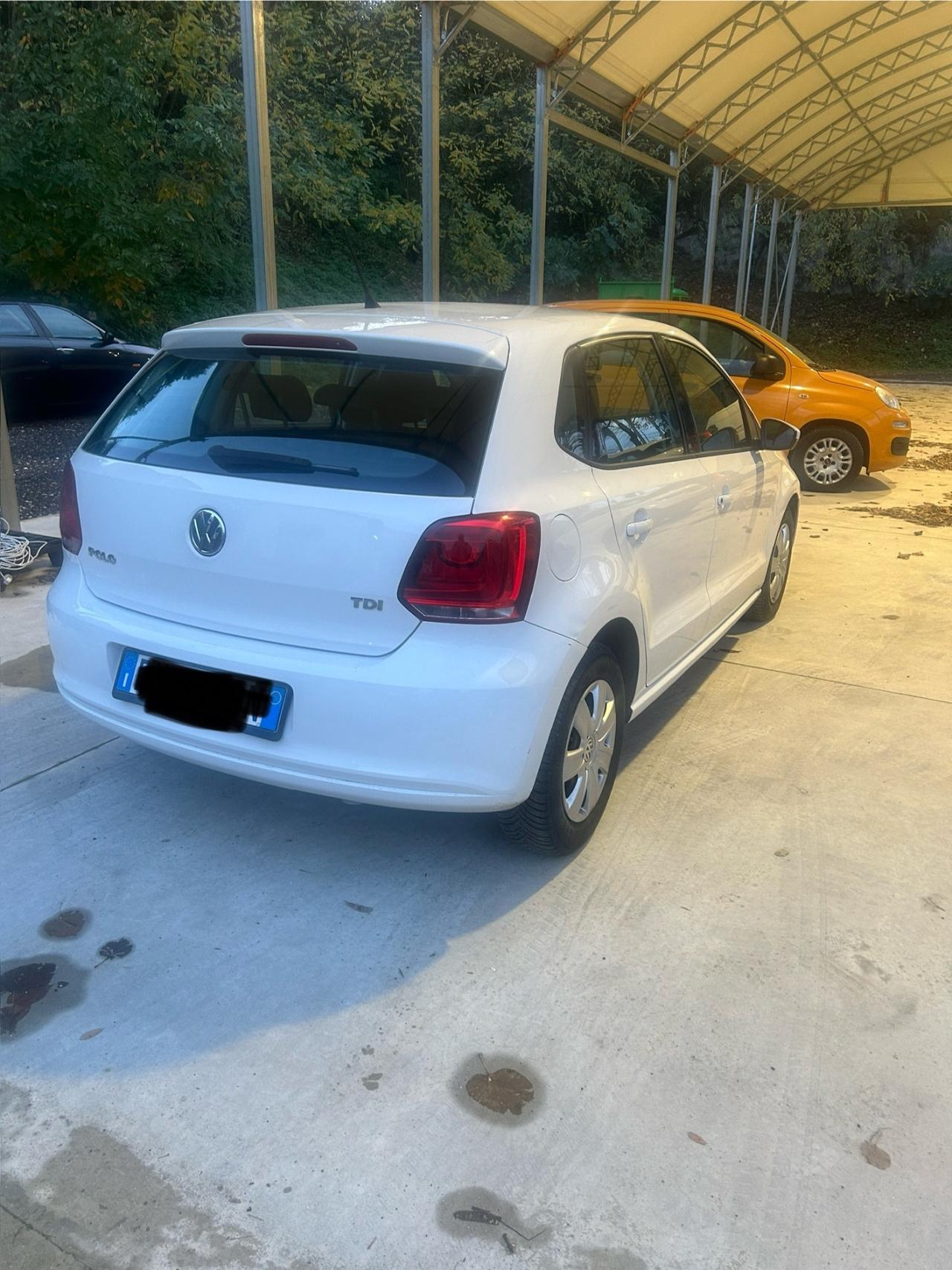 Volkswagen Polo 1.6 TDI DPF 5 porte Comf. BlueMotion Technology