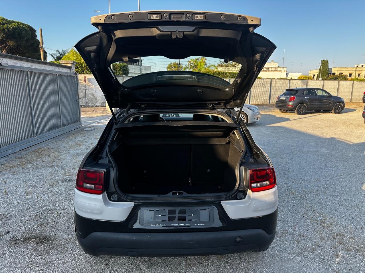 Citroen C4 Cactus BlueHDi 100 Feel