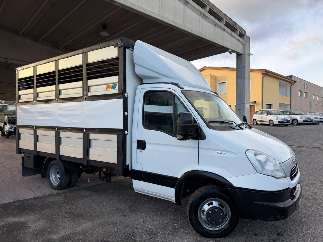 Iveco Daily Trasporto animali vivi patente B 2015