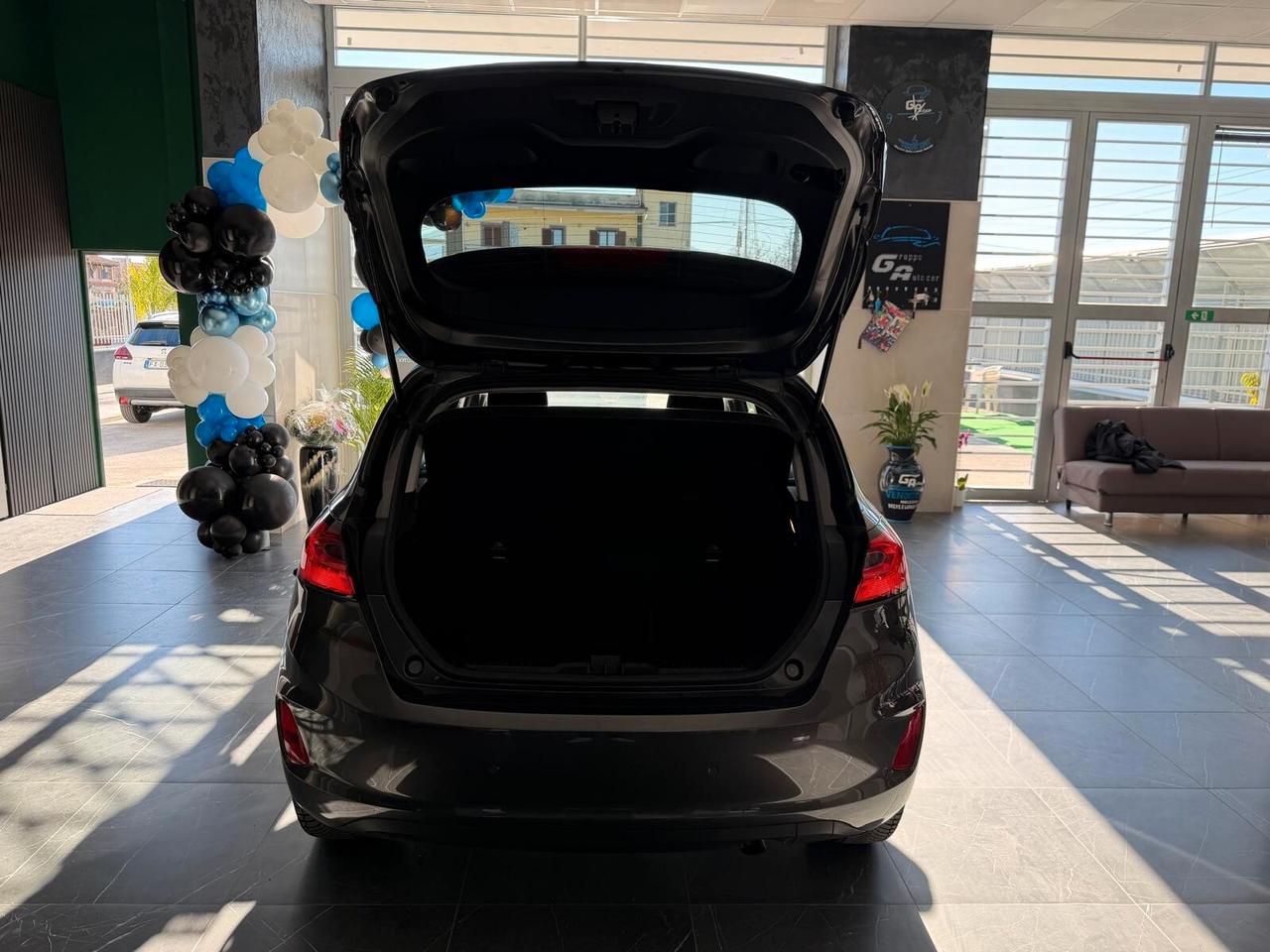 Ford Fiesta 1.1 75 CV 5 porte Titanium