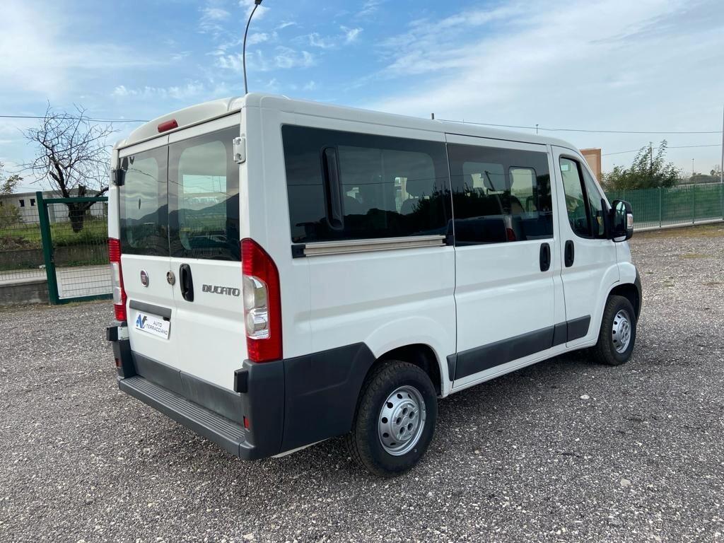 Fiat ducato panorama 9 posti