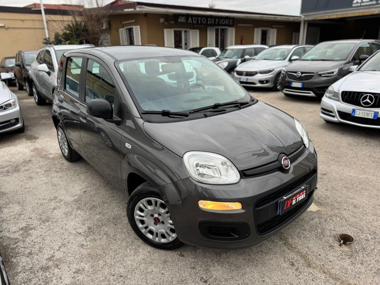 Fiat Panda 1.2 Lounge CON SOLI 50k Km