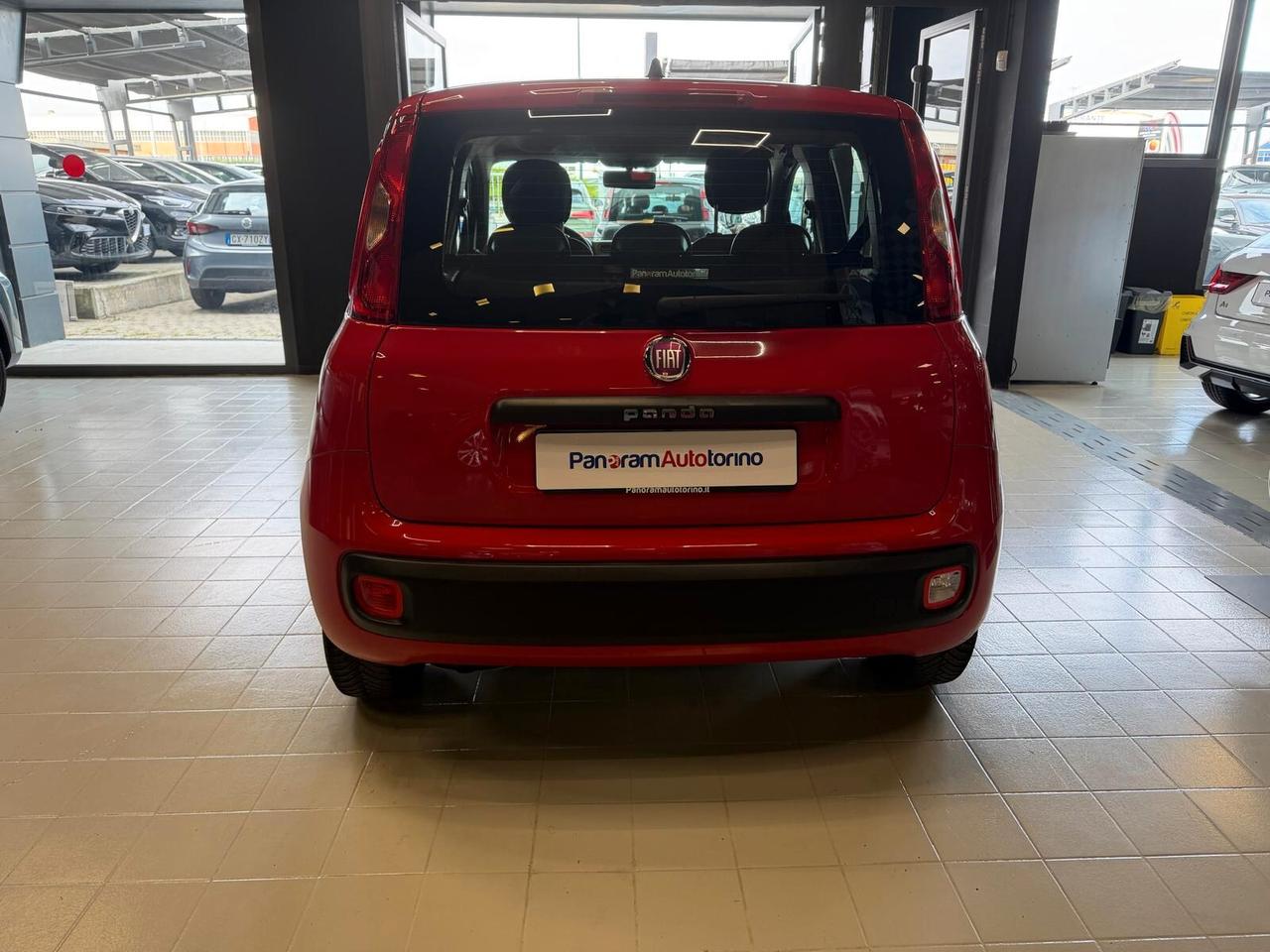 FIAT Panda 3ª serie Panda 1.2 Easy