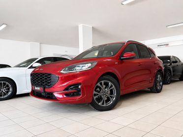 Ford Kuga 1.5 EcoBlue 120 CV aut. 2WD ST-Line X