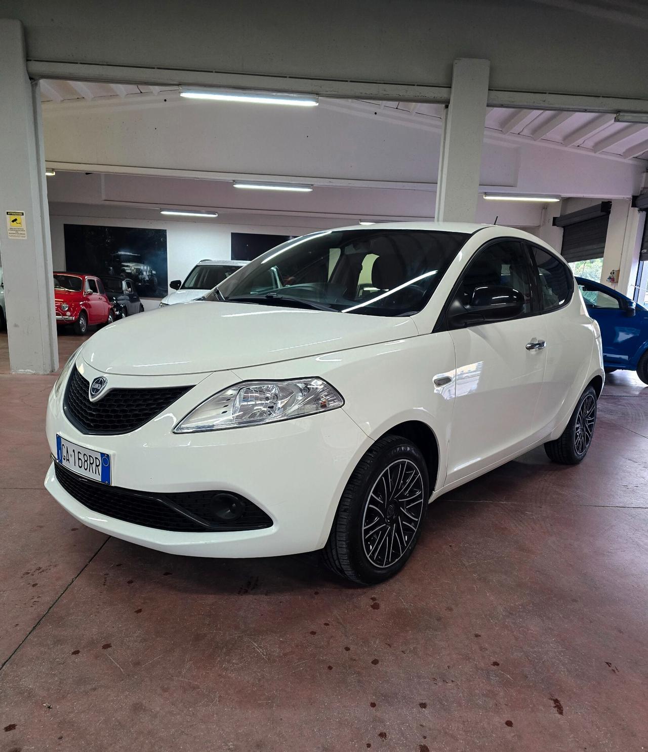 Lancia Ypsilon 1.2 69 CV 5 porte S&S Platinum