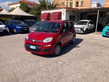 FIAT PANDA 1.2 69cv 5 Porte Easy