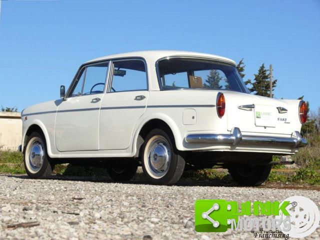 FIAT 1100 SPECIAL - ASI TARGA ORO