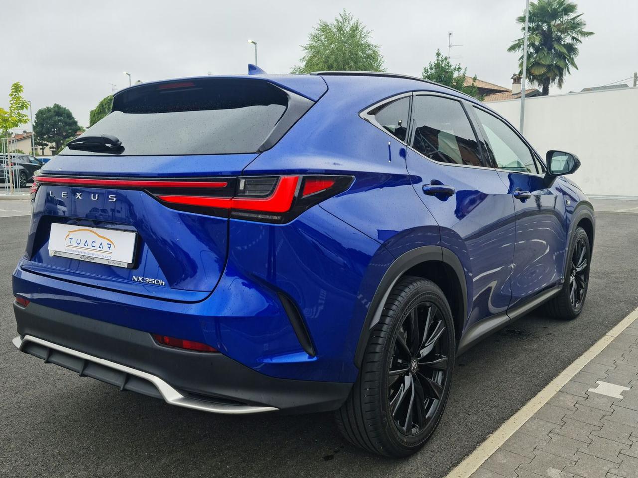 Lexus NX 350 h #6372