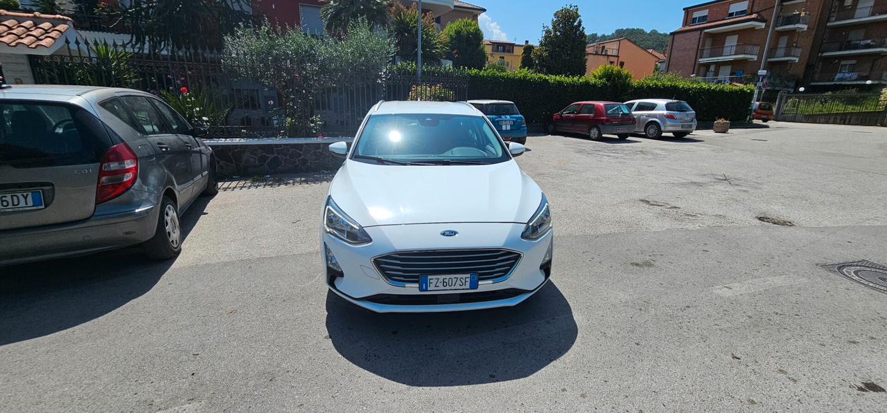 Ford Focus 1.5 EcoBlue 120 CV automatico SW Business Co-Pilot