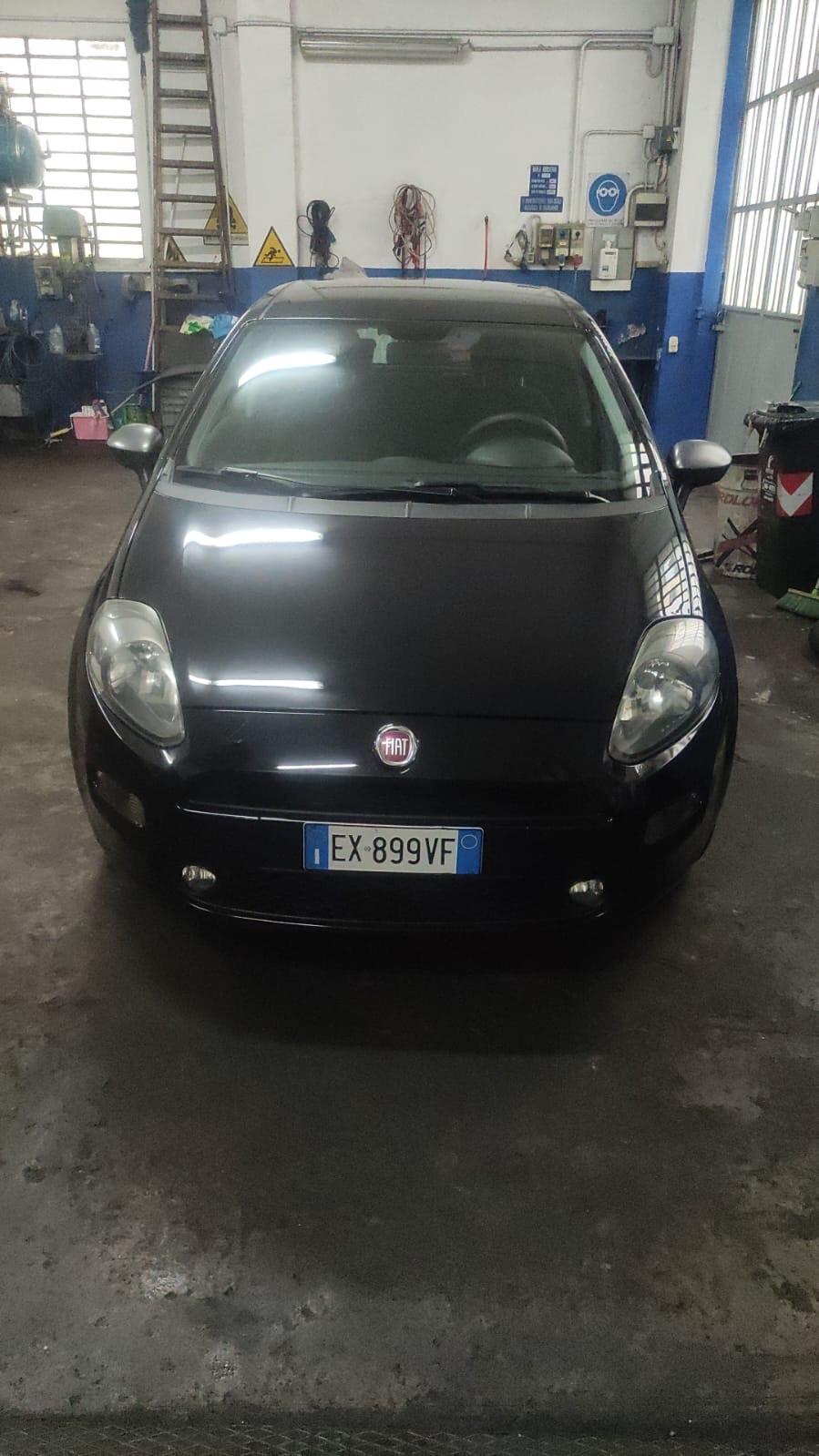 Fiat Punto 1.2 8V 5 porte Street