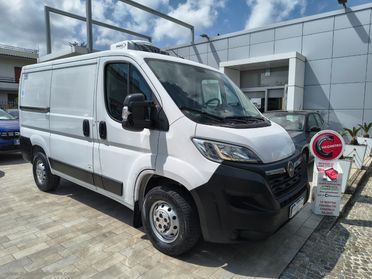 Movano 33 BlueHDi 140 PC-TN Furgone