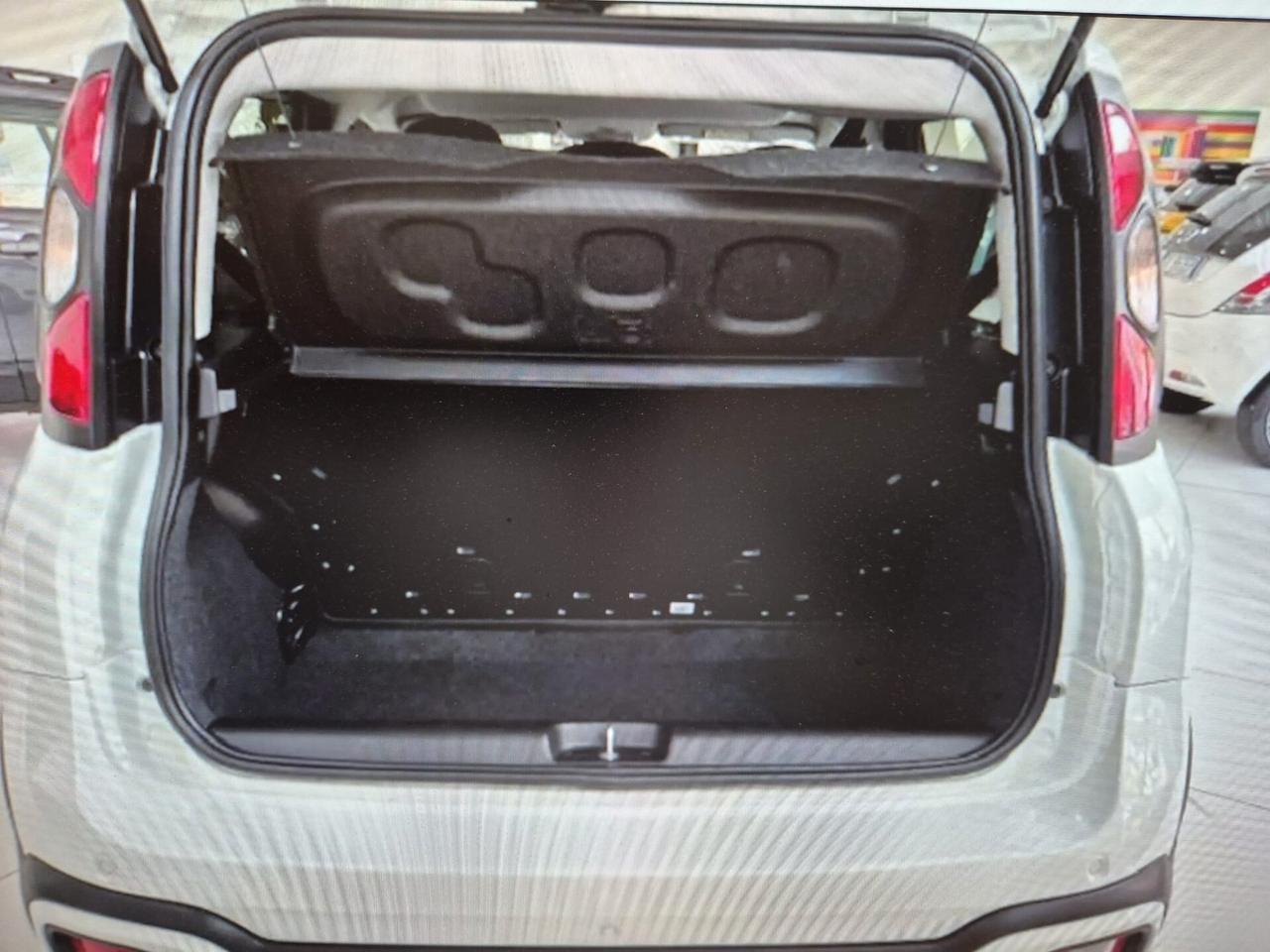 Fiat Panda Cross 1.0 FireFly S&S Hybrid