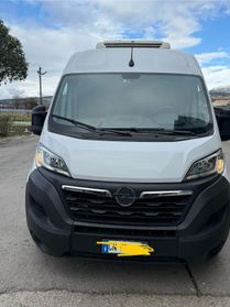 Opel movano isotermico 2023