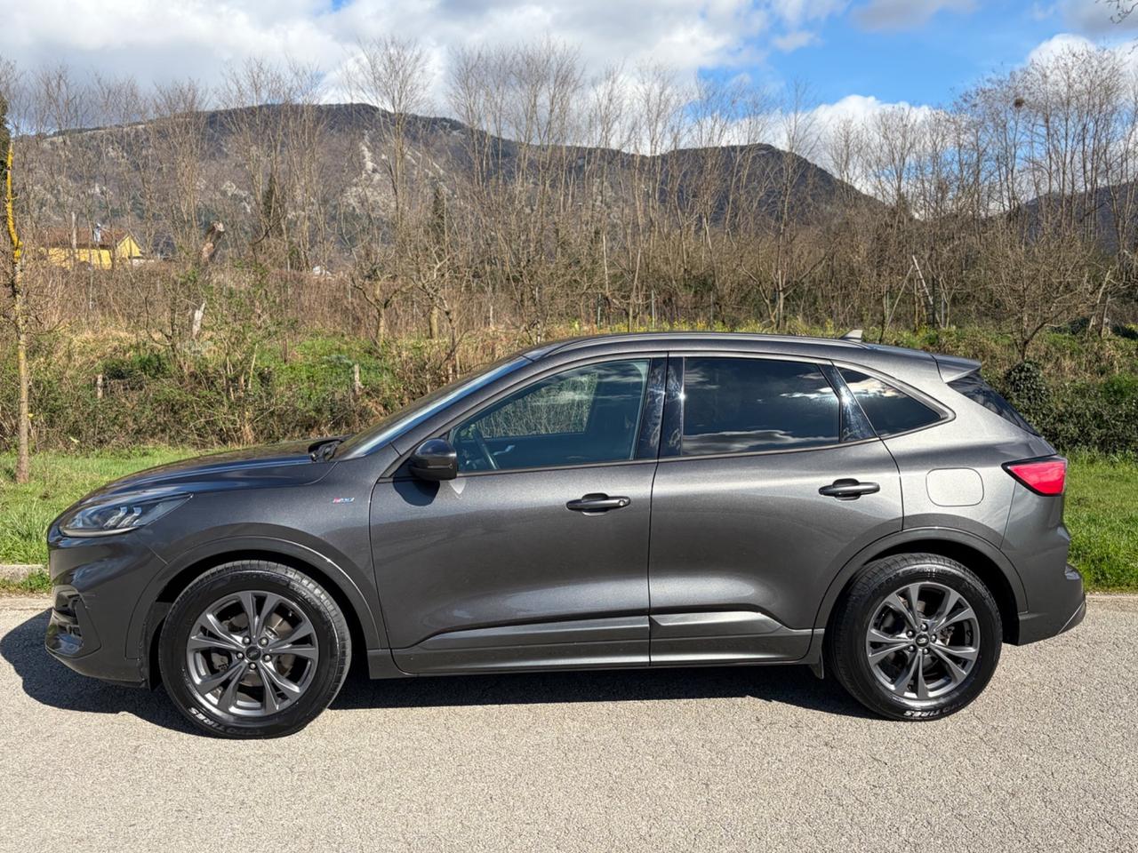 Ford Kuga 1.5 EcoBlue 120 CV aut. 2WD ST-Line X