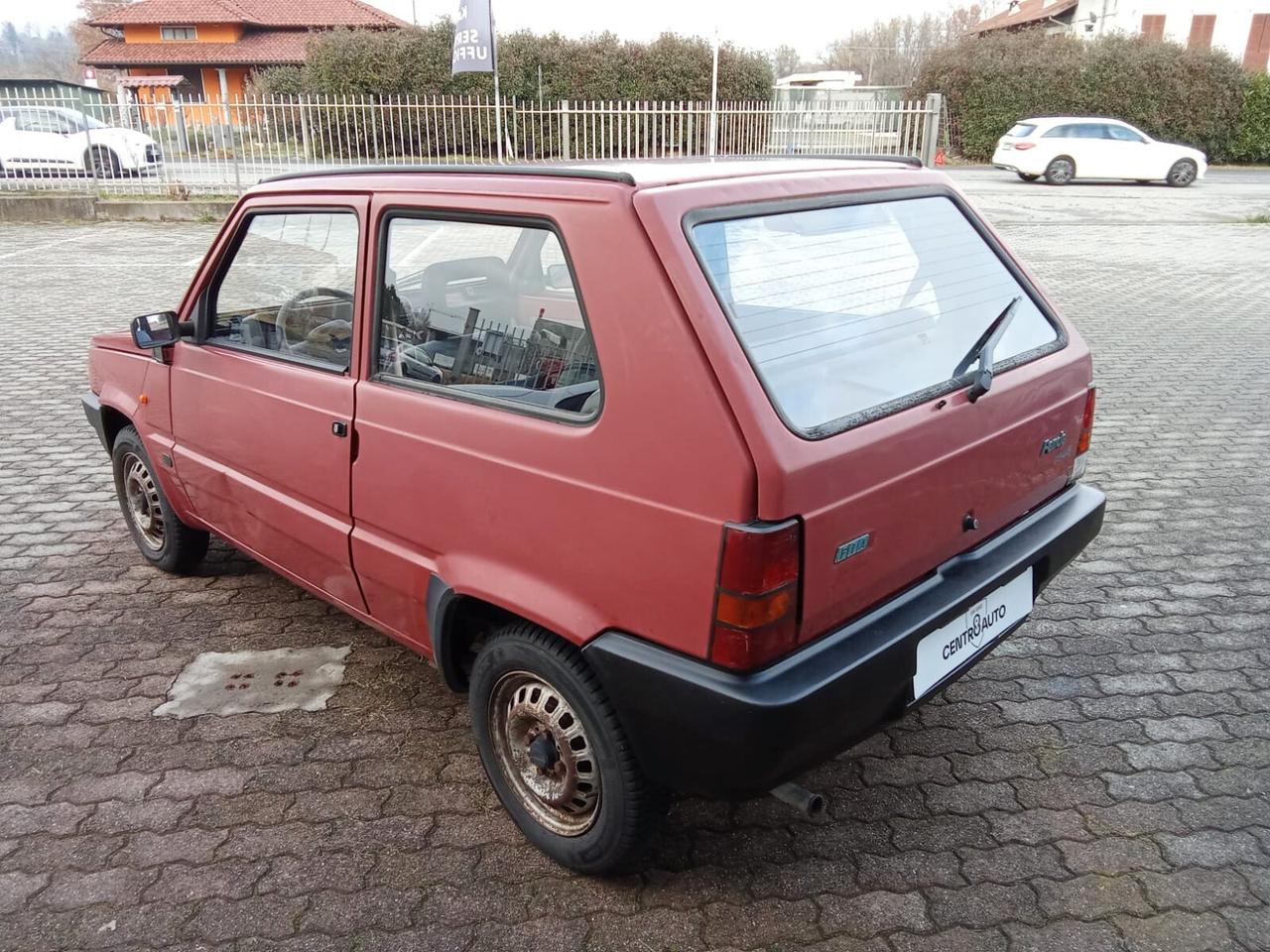 Fiat Panda 1100 i.e. cat Young