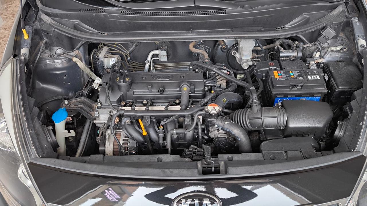 Kia Rio 1.2 CVVT 5p. Cool