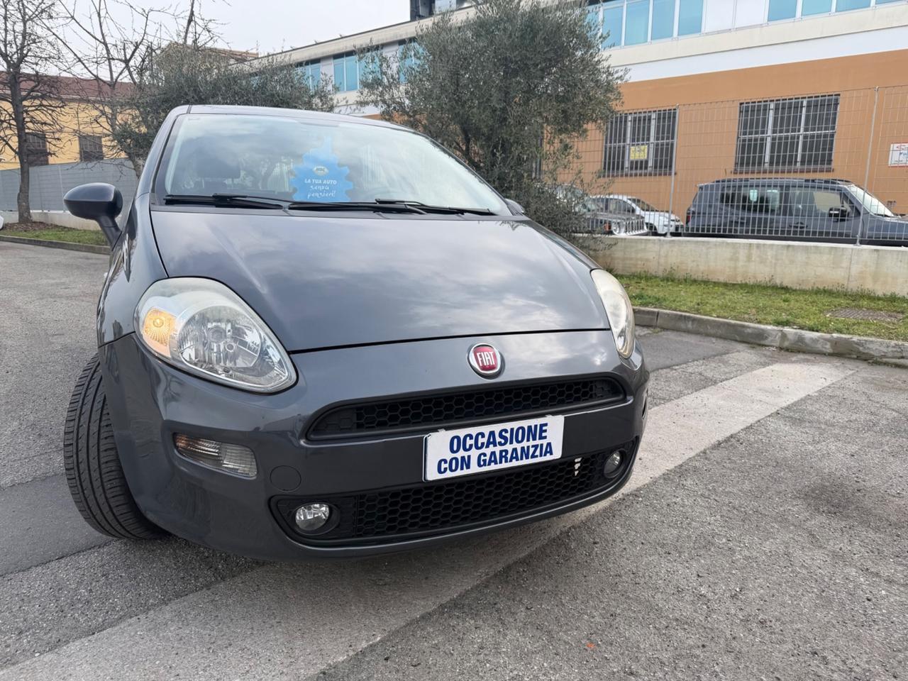 Fiat Punto 1.2 5 porte Lounge soli km 84000