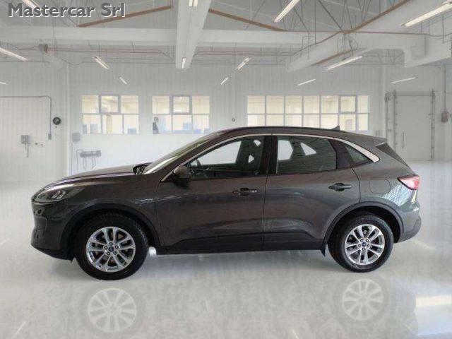 FORD Kuga Kuga 2020 1.5 ecoblue Titanium Business 2wd 120cv