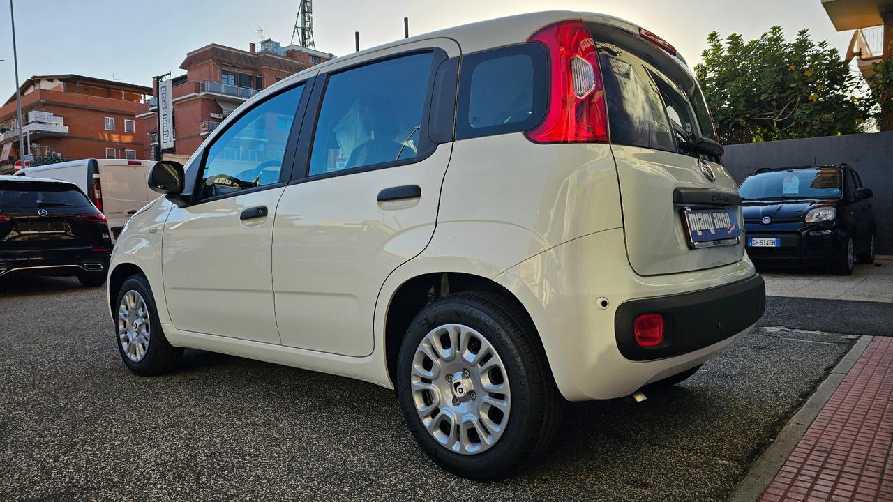 Fiat Panda 1.0 FireFly S&S Hybrid Pandina ICON KM0 REALE