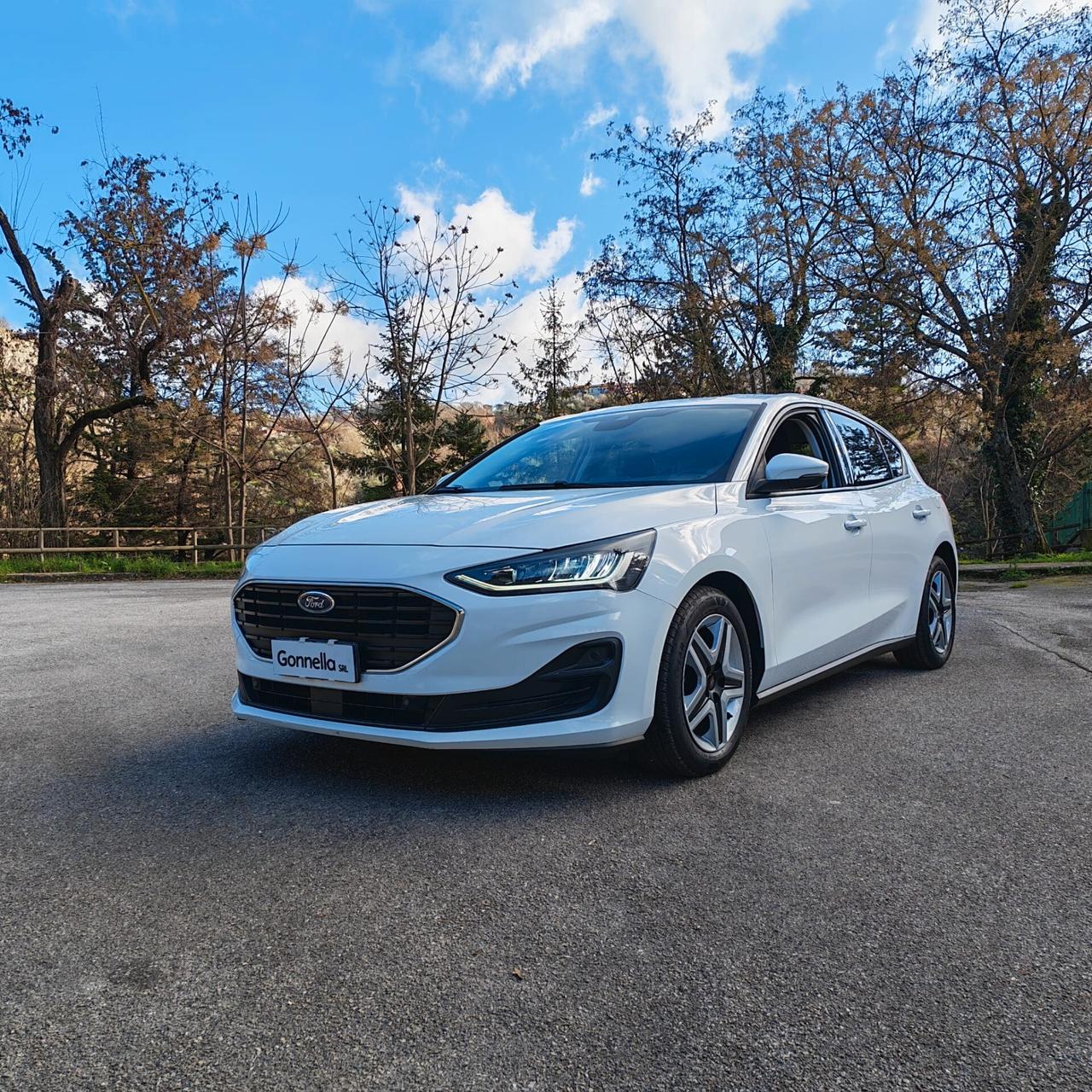 Ford Focus 1.5 EcoBlue 120 CV 5p. Business Co-Pilot auto