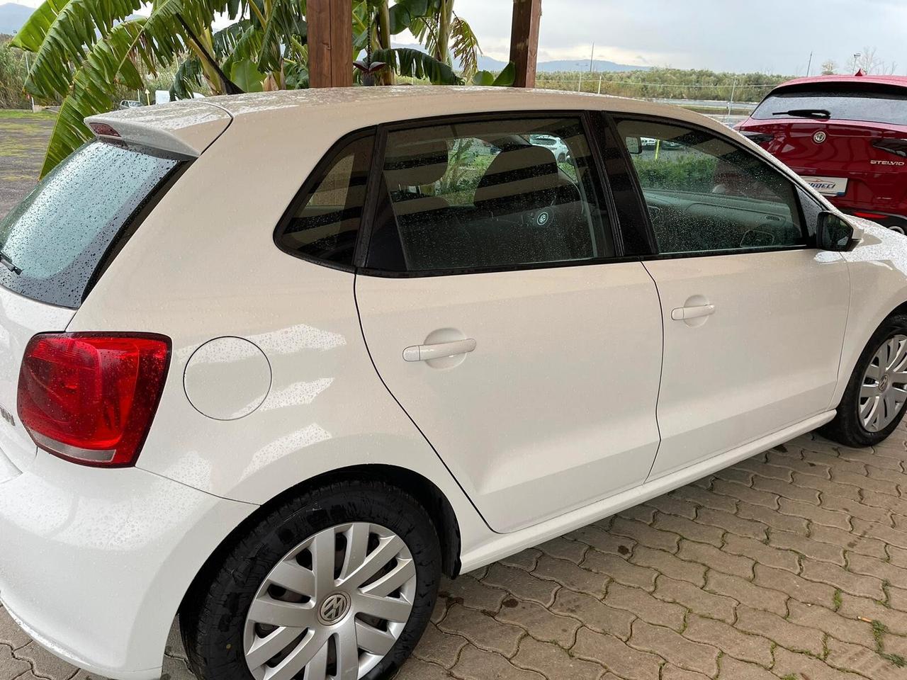 Volkswagen Polo 1.6 TDI 90CV DPF 5 porte Comfortline