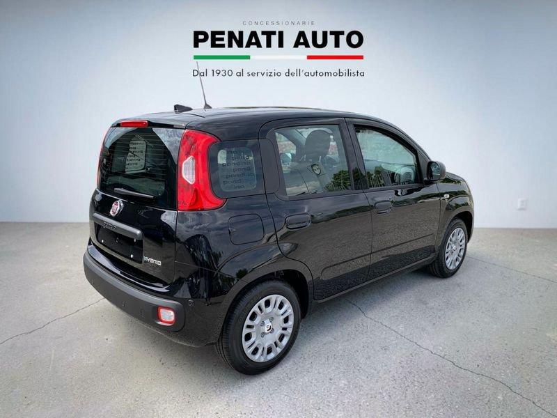 FIAT Pandina 1.0 FireFly 65cv S&S 6m Hybrid Icon