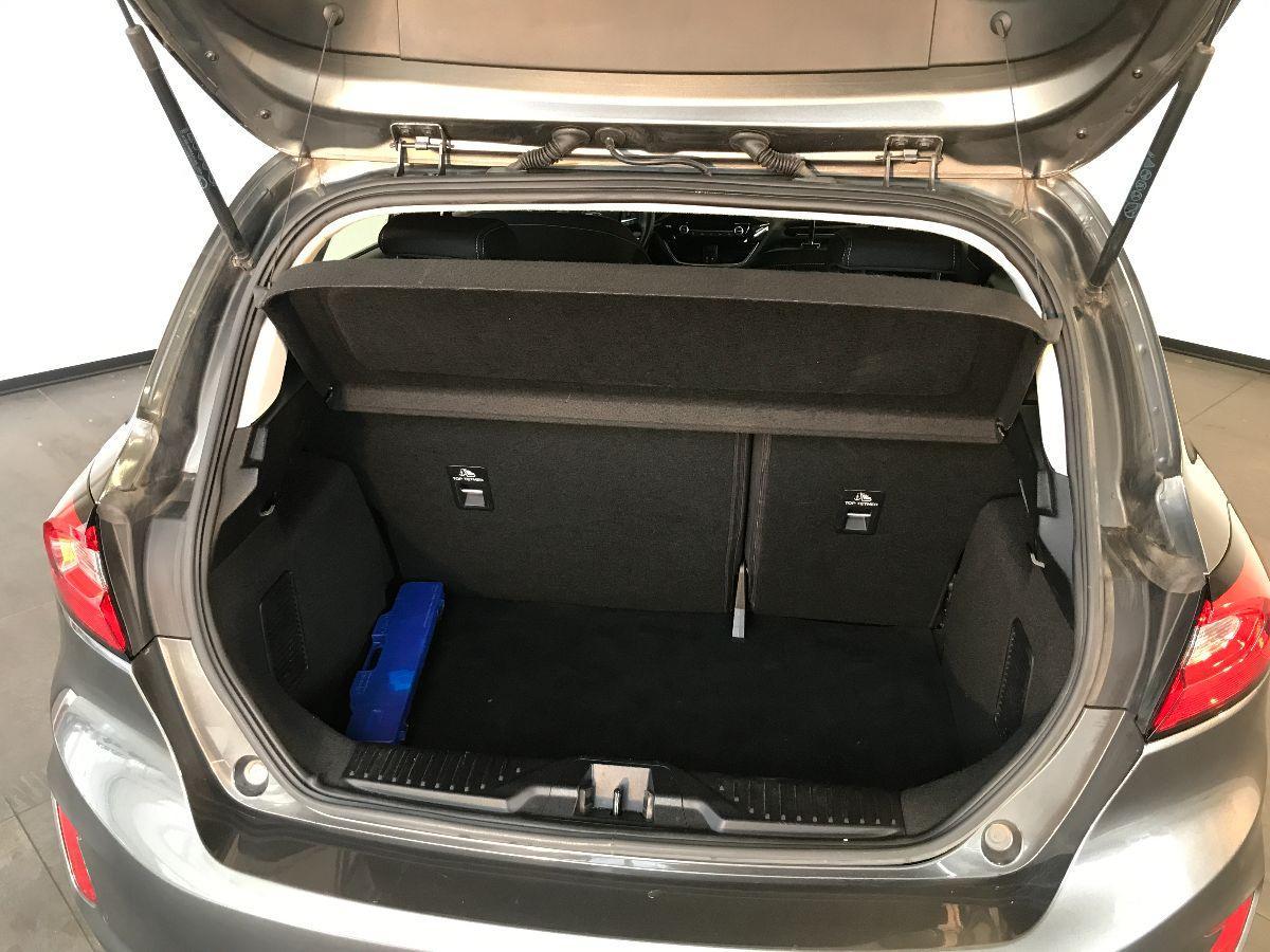 FORD Fiesta 1.0 Ecob. Hybrid 125 CV 5p. TITANIUM