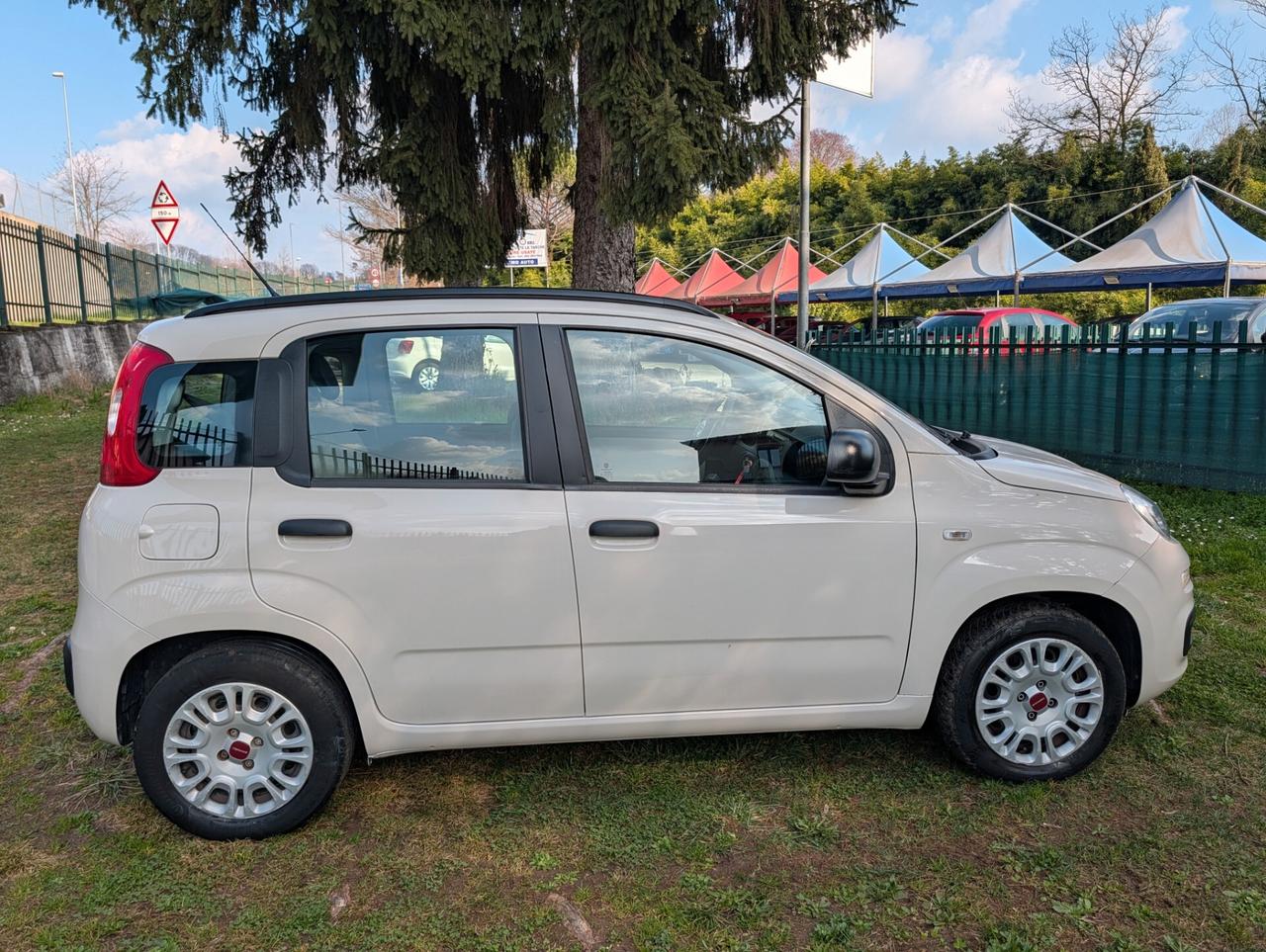 Fiat Panda 1.2 Easy UNICO PROPRIETARIO