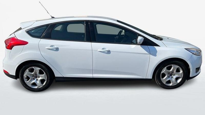 Ford Focus 5 Porte 1.6 120cv Plus