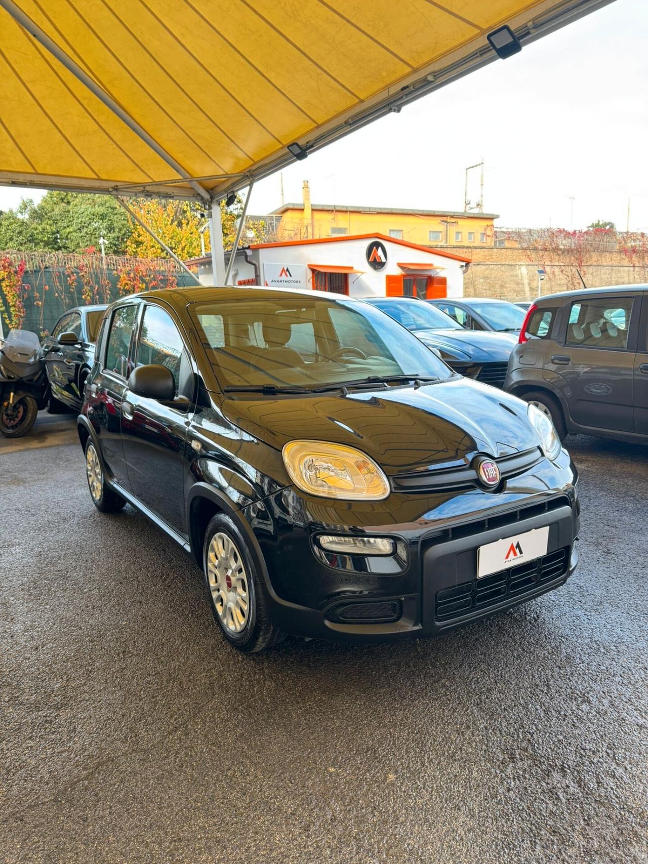 FIAT PANDA 1.0 FIREFLY S&S HYBRID **PREZZO REALE**
