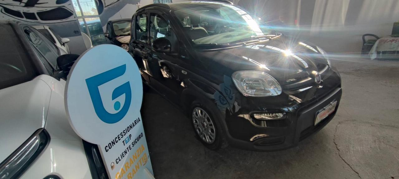 Fiat Panda 1.0 FireFly S&S Hybrid Pandina