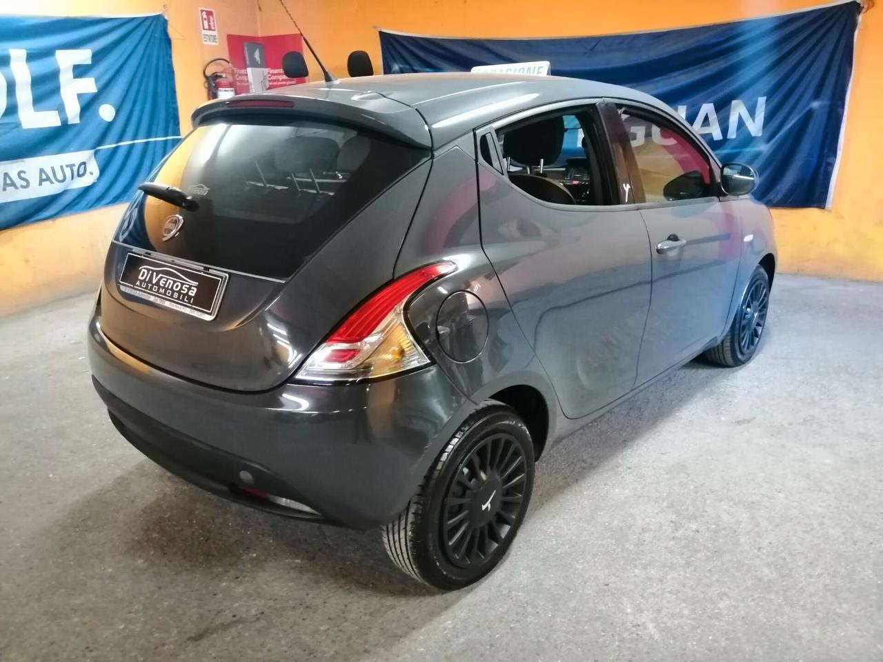 Lancia Ypsilon 1.2 69 CV 5 porte GPL Ecochic Elefantino