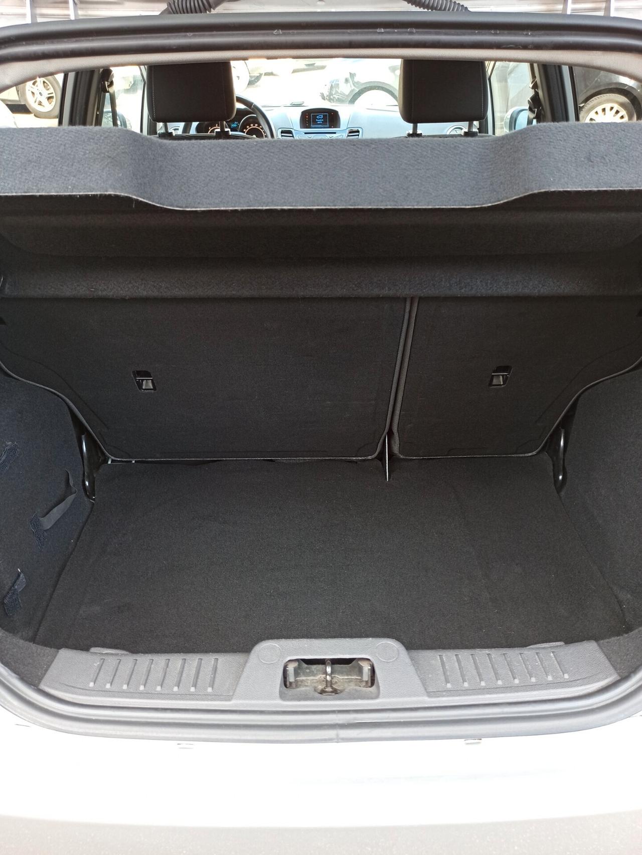 Ford Fiesta 1.5 TDCi 75CV 5 porte Titanium