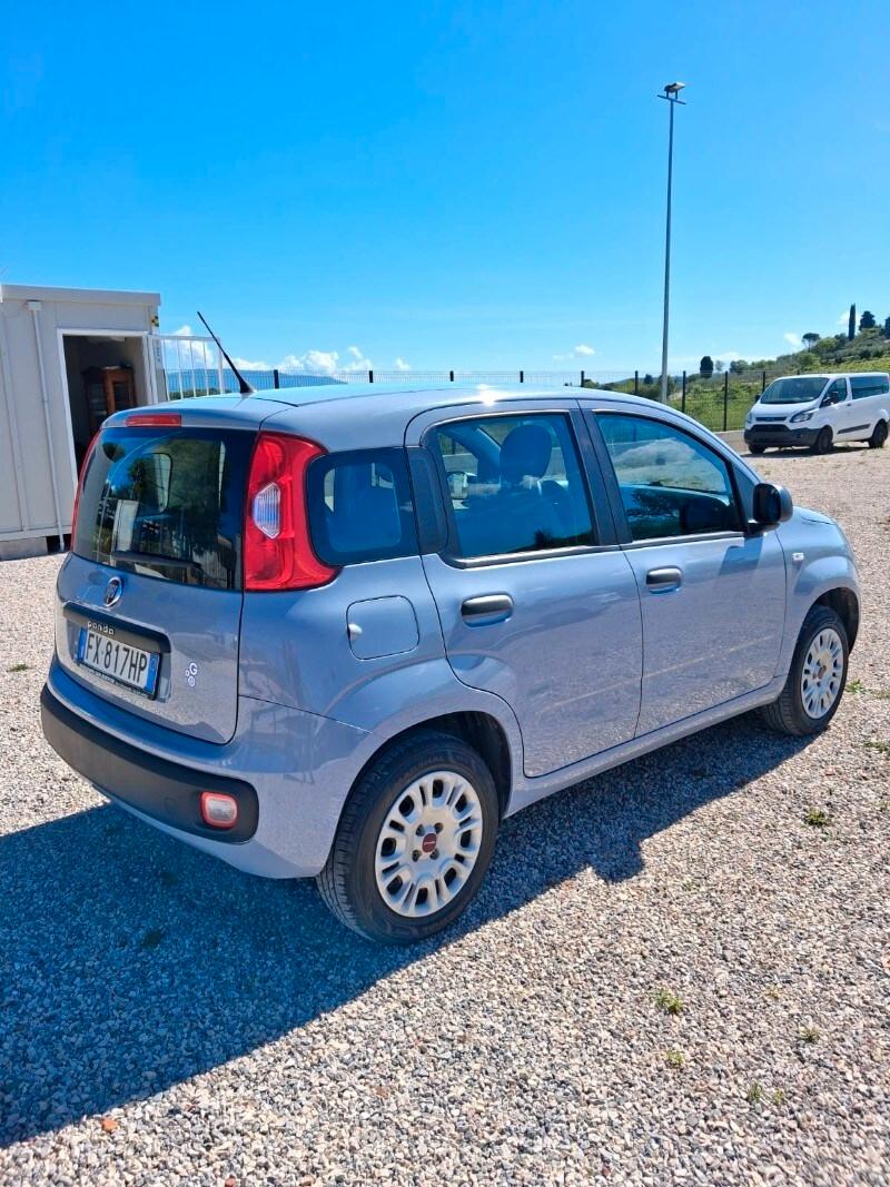 FIAT Panda 3ª serie Panda 1.2 Easy