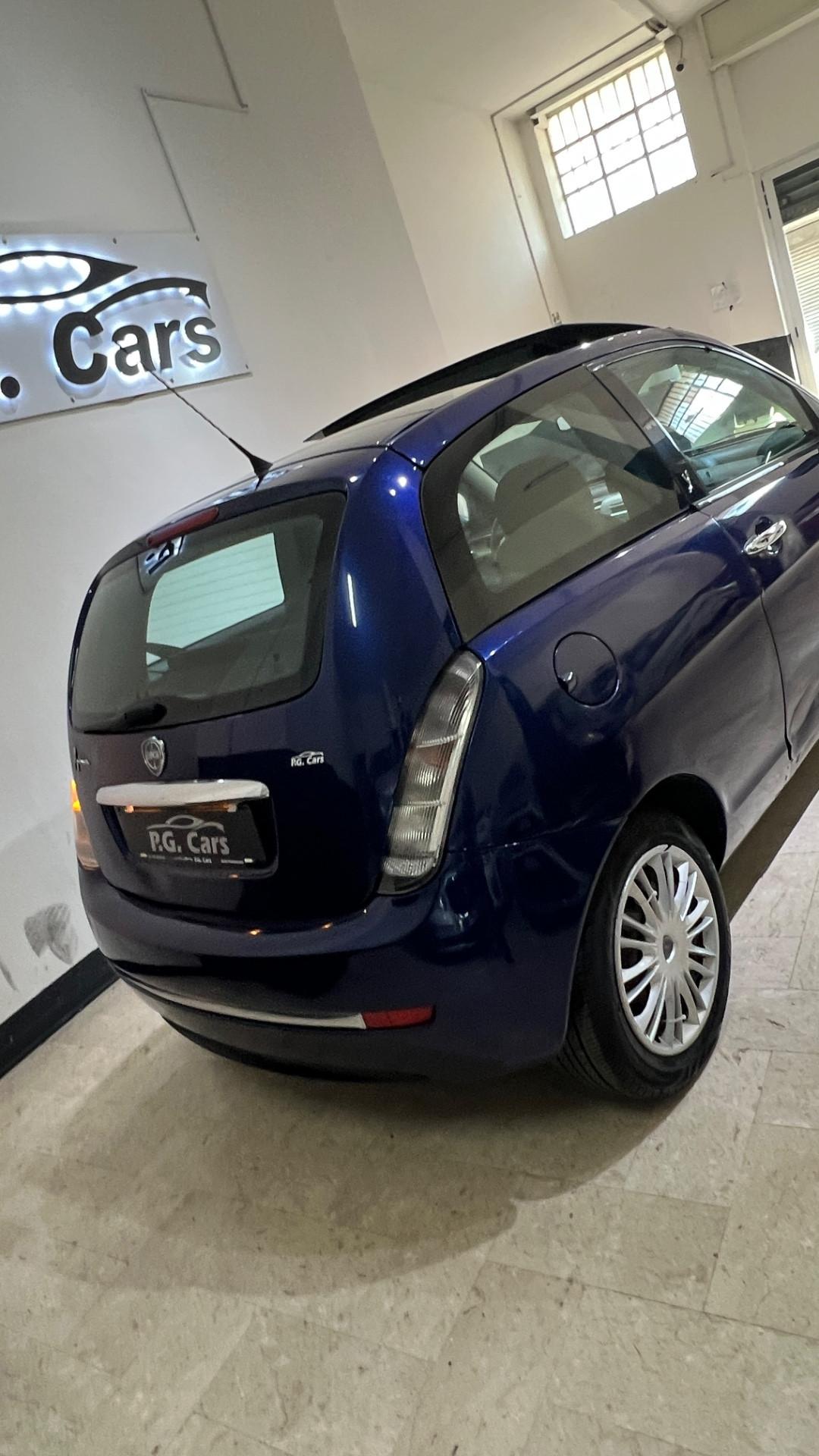 Lancia Ypsilon Platino tetto