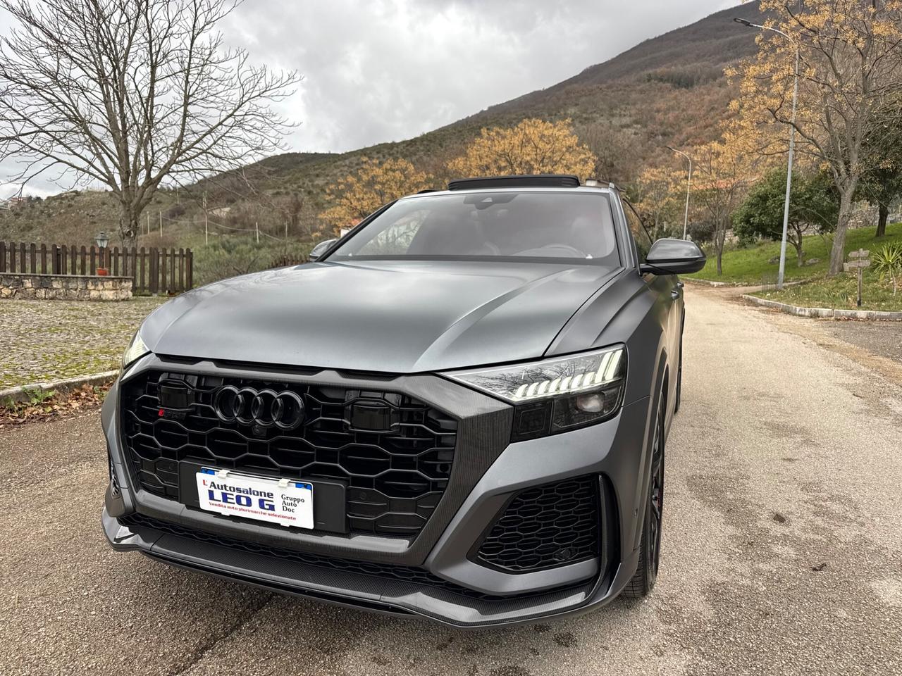 Audi Q8 RS TFSI V8 quattro tiptronic