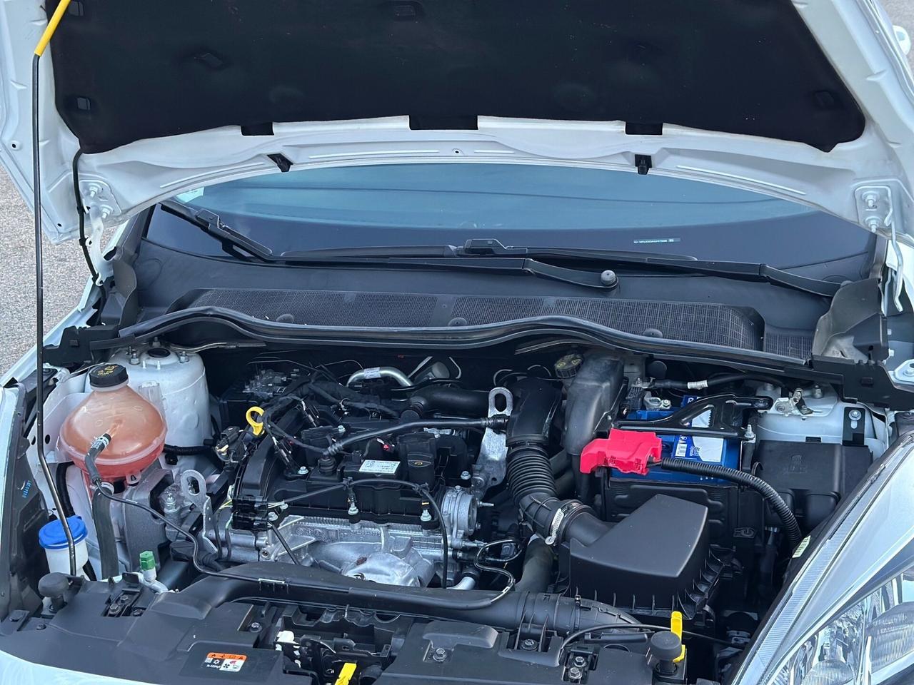 Ford Fiesta 2018 1.1 85 CV 5 porte Plus PARI AL NU