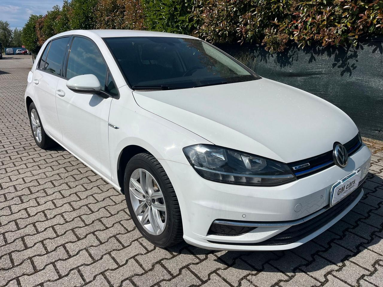 Golf 1.5 TGI 5p. Executive BlueMotion Technology