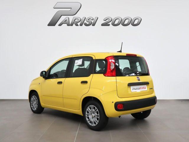 FIAT Panda 1.0 FireFly S&S Hybrid *PROMO PARISI GROUP*