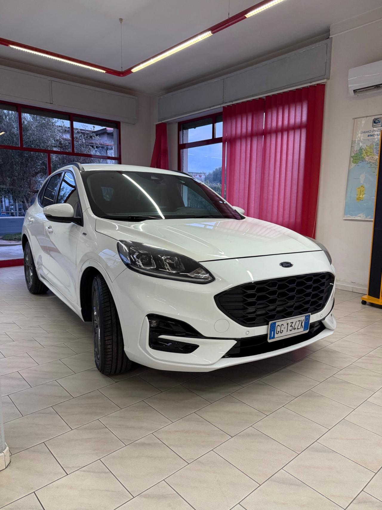 Ford Kuga 1.5 EcoBlue 120 CV aut. 2WD ST-Line X