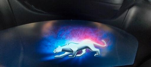 PUMA ST-LINE 1,0 BENZINA IBRIDA 125 CV-NAVI TELEFONO LEGA RETROCAMERA SENSORI FULL FULL