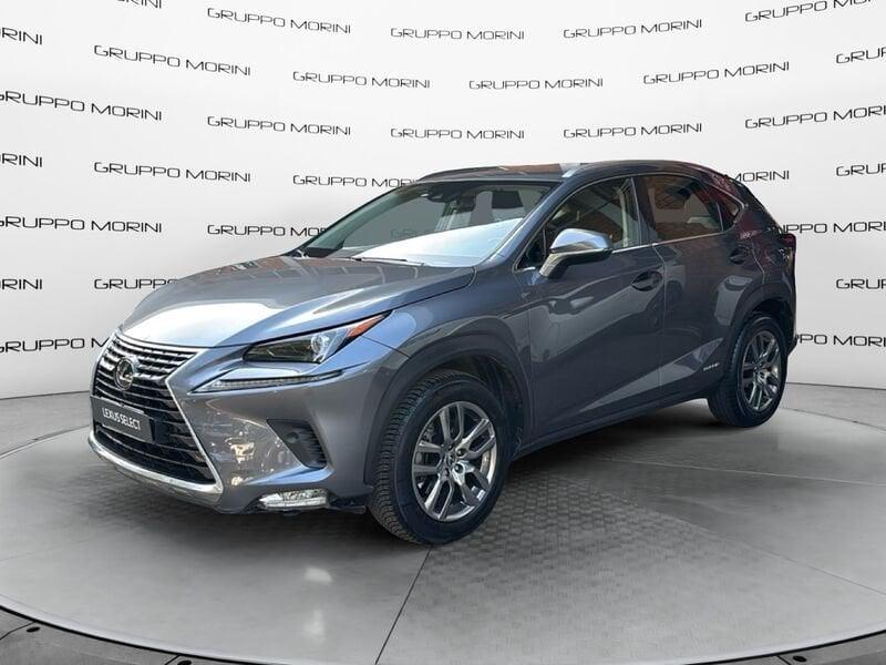 Lexus NX Hybrid Premium 4WD MY22