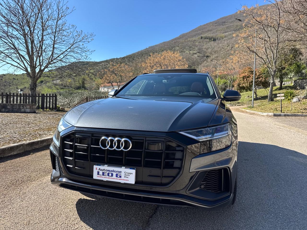 Audi Q8 50 TDI 286 CV quattro tiptronic Sport