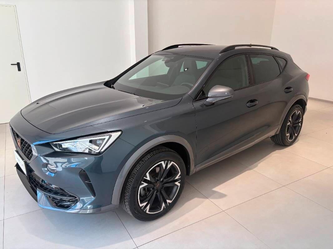 Cupra formentor 2.0 tdi 4drive 150cv dsg