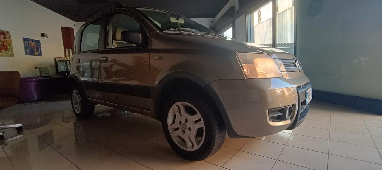 Fiat Panda 1.2 Climbing Natural Power