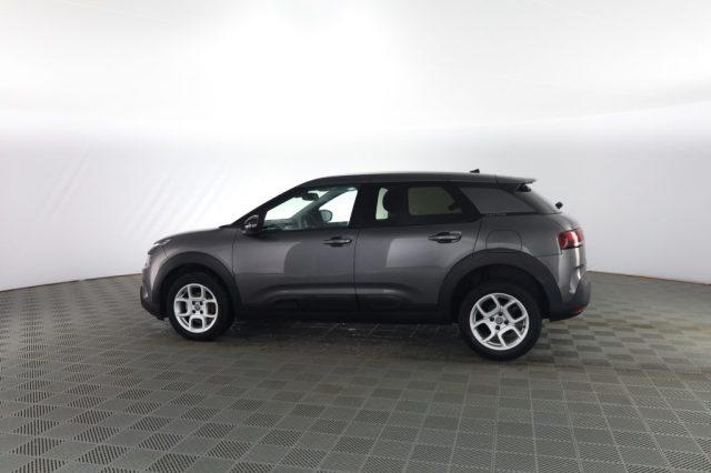 CITROEN C4 Cactus C4 Cactus PureTech 110 S&S Shine