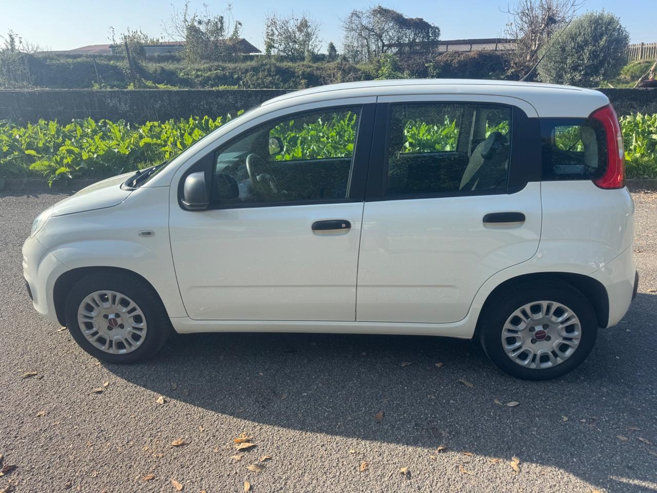 Fiat Panda 1.3 MJT 95 CV S&S Easy