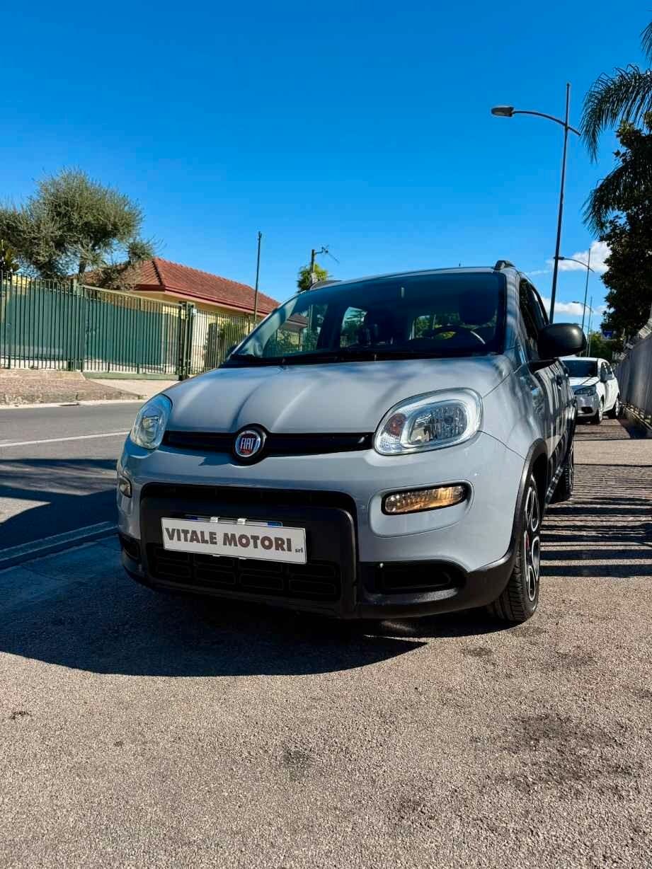 Fiat Panda 1.0 FireFly Hybrid 69 CV