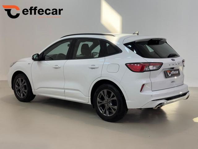 FORD Kuga 1.5 EcoBlue 120 CV aut. 2WD ST-Line IVA ESPOSTA